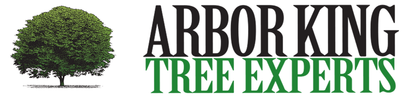 cropped-Arbor-King-Web-Logo.png